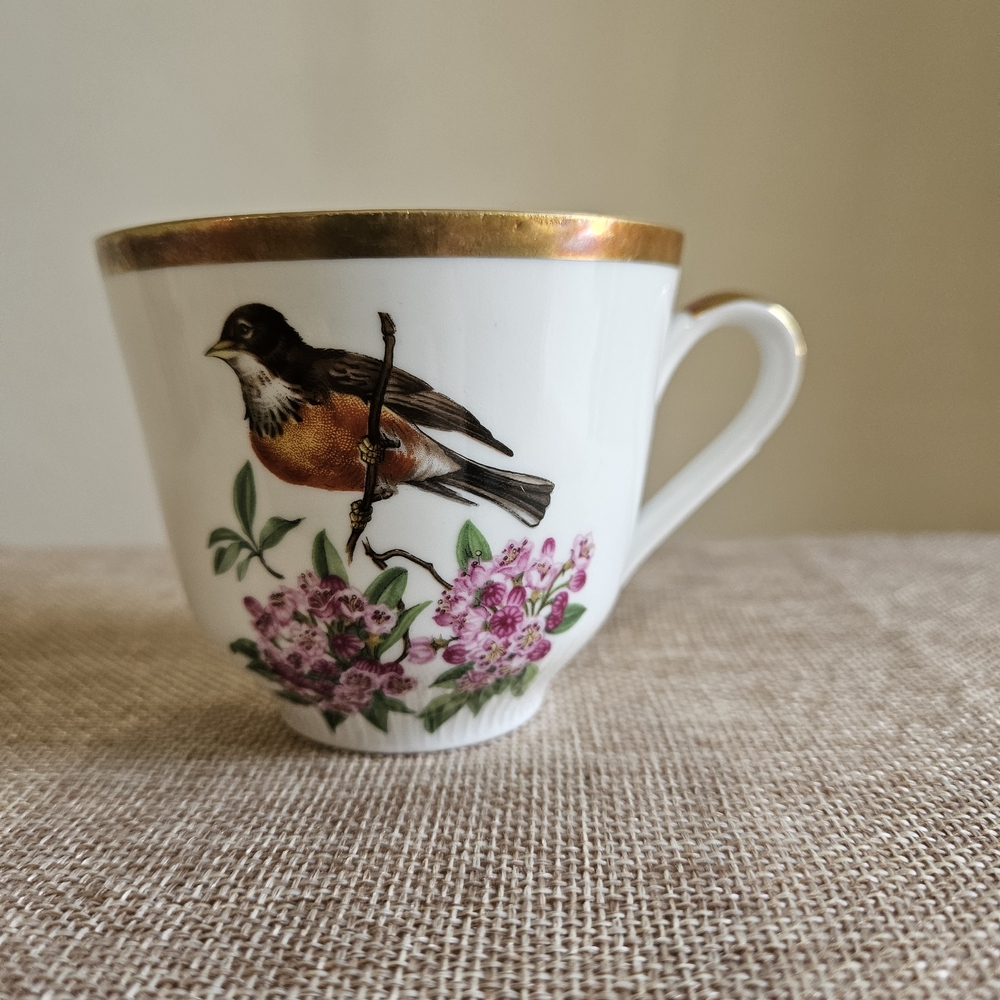 Schumann Arzberg‎ Teacup
